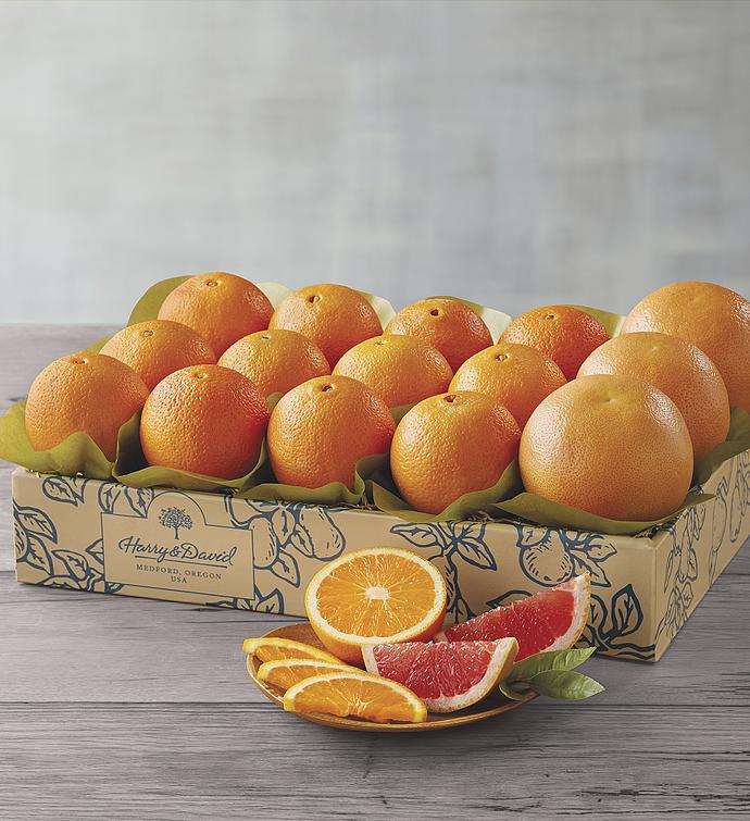 Navel Oranges and Grapefruit   One Tray